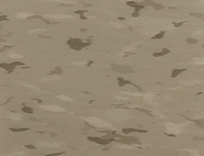 XNT6152-10 談灰咖